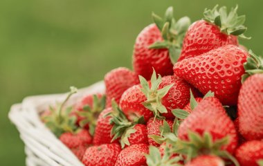 7 продуктів, які протипоказані алергікам влітку