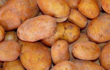 Підмерзла картопля: що робити, чи можна її їсти