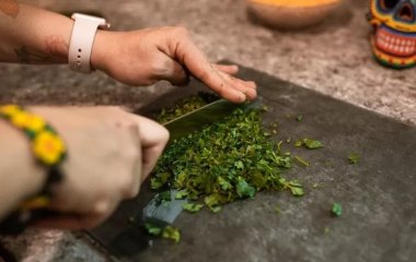 5 корисних та лікувальних властивостей кінзи