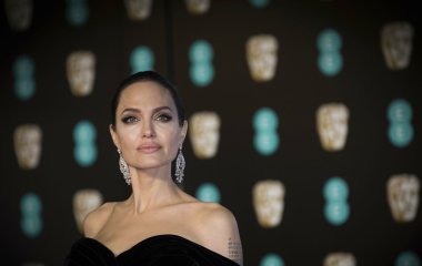 Анджелина Джоли прилетела в Прованс в костюме пасечника