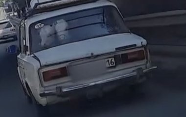 Водій запхав у 