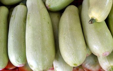 Ендокринолог назвала найкращий продукт для боротьби із зайвою вагою