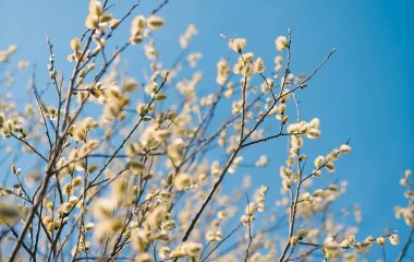 Яке сьогодні, 2 березня, свято — все про цей день, яке церковне свято