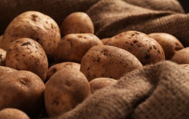 В каком виде картофель самый полезный: ответ диетолога