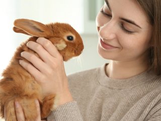 Сети рассмешил неуклюжий «охотник», не сумевший поймать кролика (ВИДЕО)