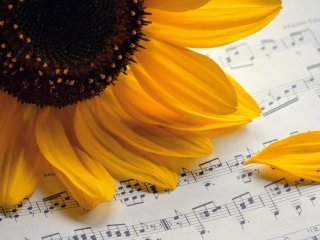 День ангела 23 липня: кого та як вітати з іменинами