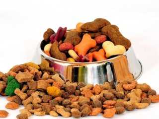 Чому корм для котів і собак роблять різнокольоровим і чи варто його купувати