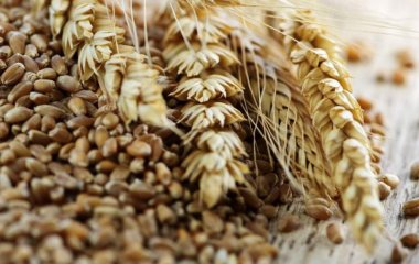 Вчені назвали корисні для здоров'я та постаті продукти
