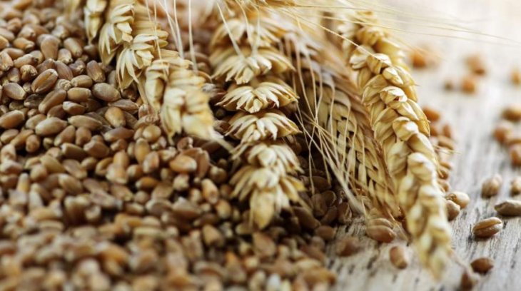 Вчені назвали корисні для здоров'я та постаті продукти