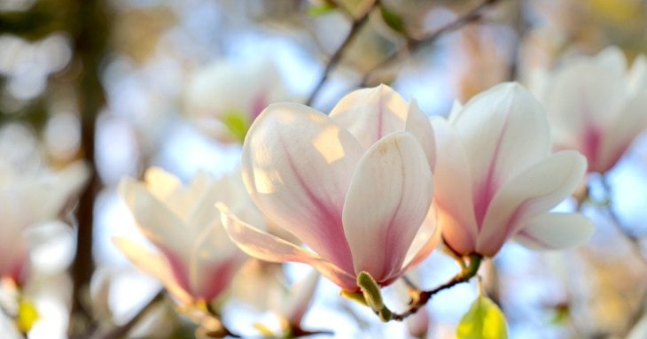 День ангела 12 квітня: кого та як вітати з іменинами