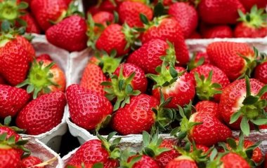 Названо знижуючий ризик раку та інсульту ягода