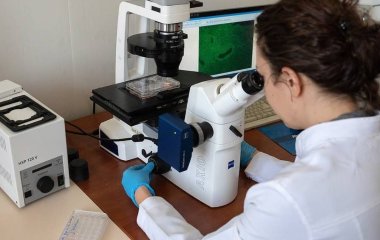 Нейросеть навчили шукати звуження в артеріях