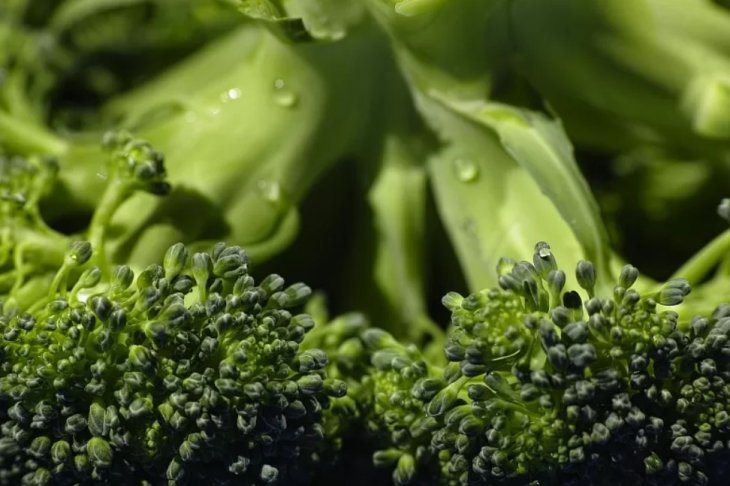 Медики назвали продукти, які допоможуть від гіпертонії у спеку
