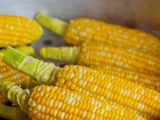 Не варіть кукурудзу просто у воді: два інгредієнти зроблять її м’якою та соковитою