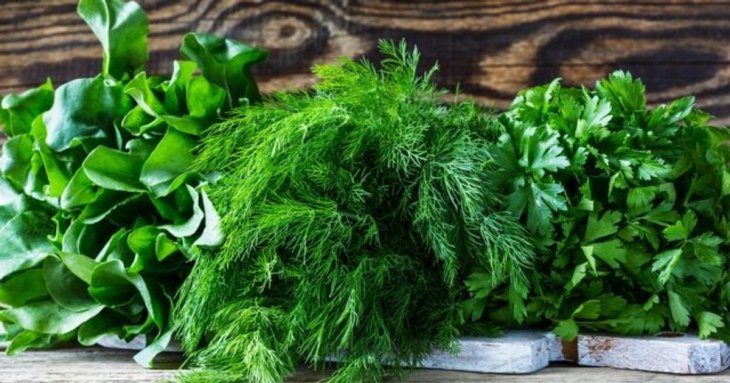 Користь сезонної зелені для організму: чому вона повинна бути в щоденному раціоні