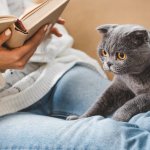 Сети умилил котик, спящий под одеялом в обнимку с щенком (ВИДЕО)