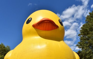 Троих британцев унесло в открытое море на надувной утке