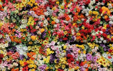 Енергетичні союзники кожного знаку зодіаку: дізнайтесь квітку та число, які завжди будуть вам допомагати в житті
