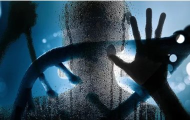 Вчені вперше зробили стовбурові клітини 