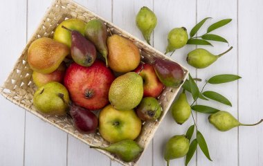 Какими ягодами и фруктами можно отравиться и что делать, чтобы этого не произошло – предостережение врача