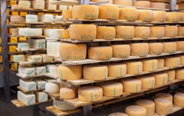 Сирна дієта. Як включати сир до раціону, щоб отримати максимум користі