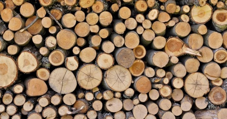 Субсидія на дрова та газ: хто з українців може отримати