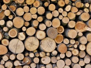 Субсидія на дрова та газ: хто з українців може отримати