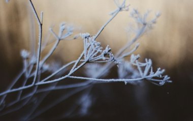 День ангела 14 грудня: кого та як вітати з іменинами