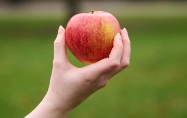 Дієтолог розповіла про користь яблук при схудненні
