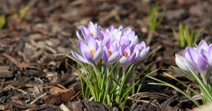 День ангела 4 березня: кого та як вітати з іменинами