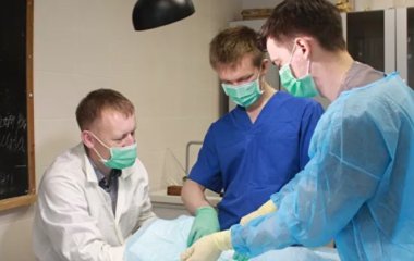Вчені створили імплантати, що зростаються з натуральною кісткою