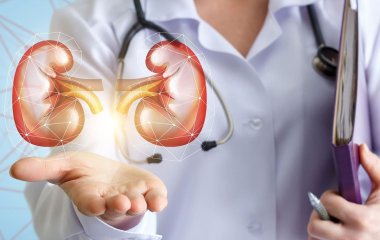 Вчені назвали три причини поширення хронічної хвороби нирок