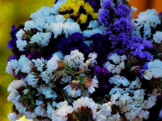 Як правильно розуміти слово