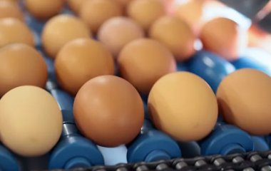 Лікар розповіла, скільки яєць можна вживати на тиждень