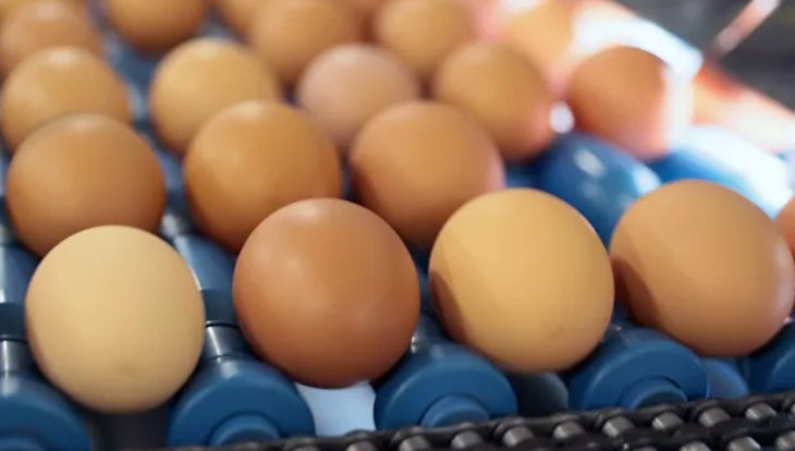 Лікар розповіла, скільки яєць можна вживати на тиждень