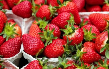Кому категорично не можна споживати полуницю