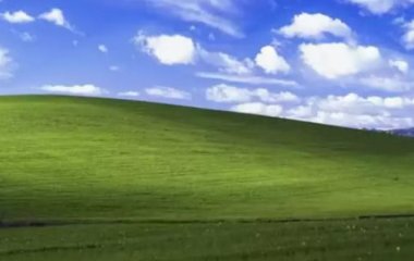 Чоловік випадково зробив 
