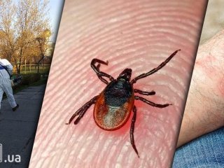 Лісники розкрили простий спосіб захисту від кліщів: достатньо одного предмета (фото)