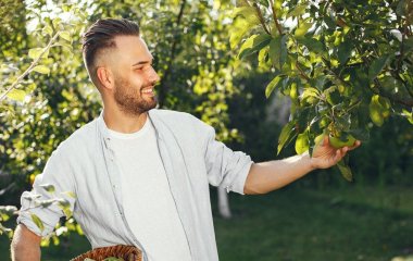 Як змусити дерева плодоносити щороку: про це не знають навіть досвідчені садівники