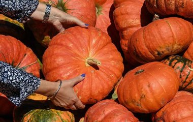 Лікар-ендокринолог назвала сало та гарбуз продуктами для підтримки імунітету