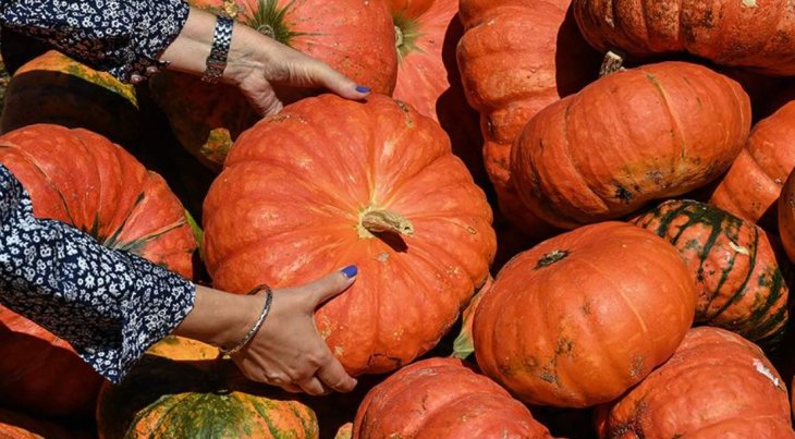 Лікар-ендокринолог назвала сало та гарбуз продуктами для підтримки імунітету