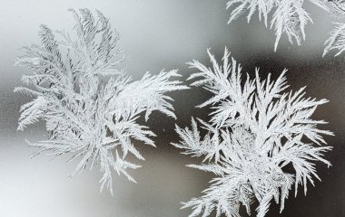 День ангела 28 грудня: кого та як вітати з іменинами