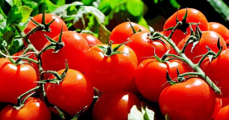 Що посадити поруч із помідорами для багатого врожаю