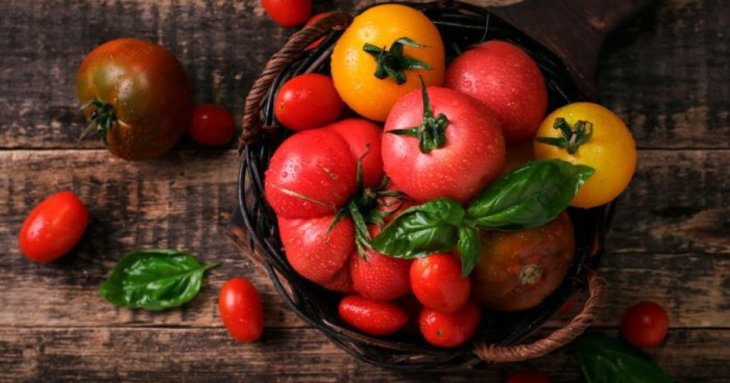 Вибираємо кращі сорти помідорів для консервації