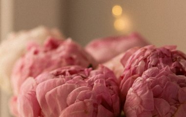 День ангела 24 травня: кого та як вітати з іменинами