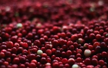 Лікар Агапкін назвав несподіваний засіб для боротьби з циститом