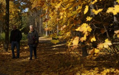 Лікарі назвали способи уникнути загострення суглобових захворювань восени