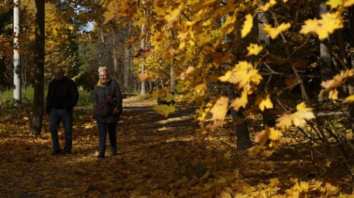 Лікарі назвали способи уникнути загострення суглобових захворювань восени