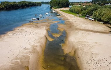 Дунай відкрив таємницю тисячоліть: що знайшли у руслі обмілілої річки