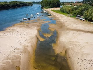 Дунай відкрив таємницю тисячоліть: що знайшли у руслі обмілілої річки